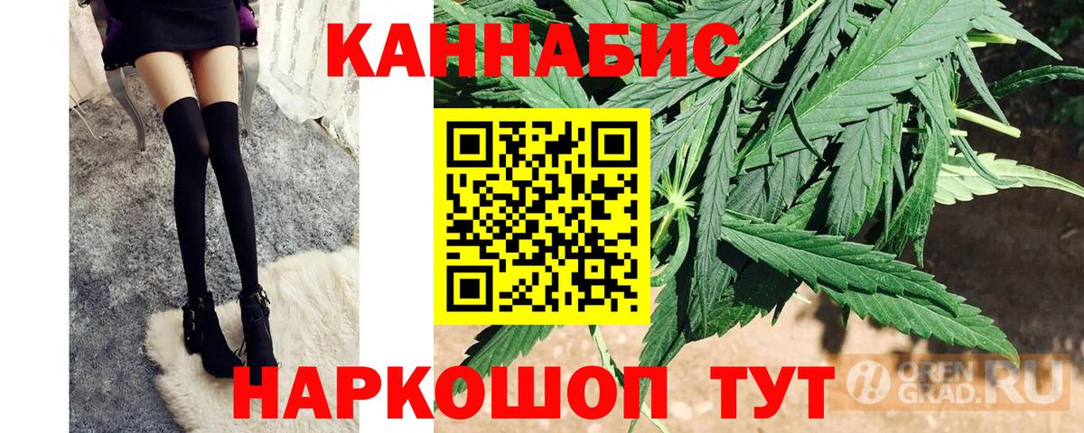 Шишки марихуана марихуана Новошахтинск